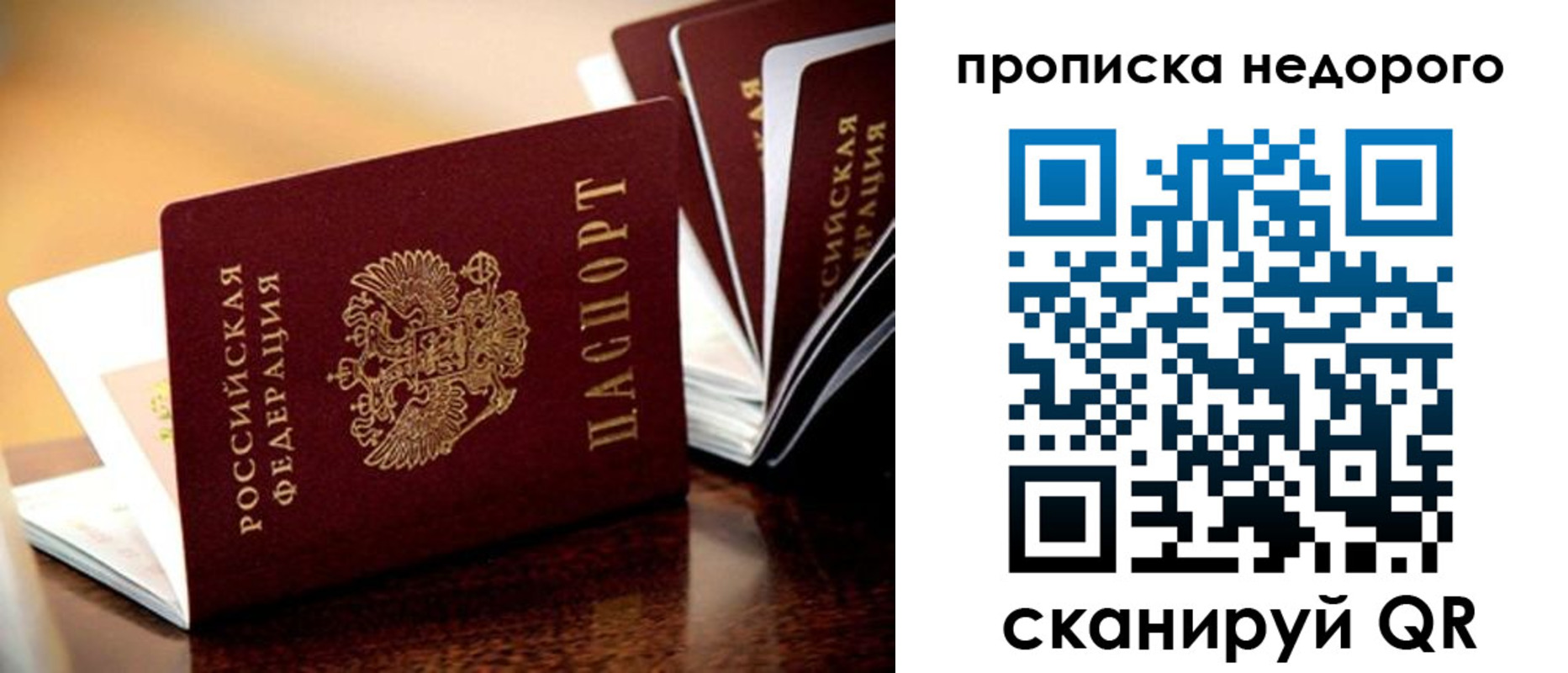 временная прописка в Светлогорске