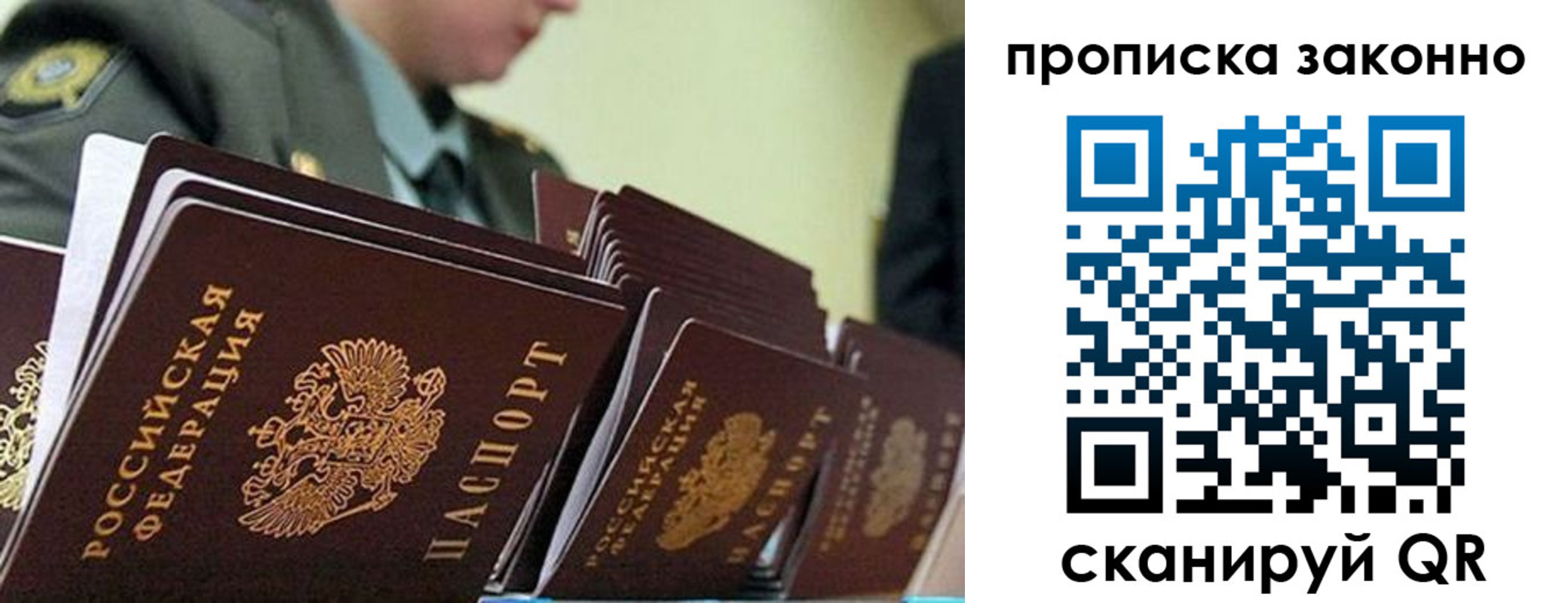 временная регистрация поиск в Светлогорске