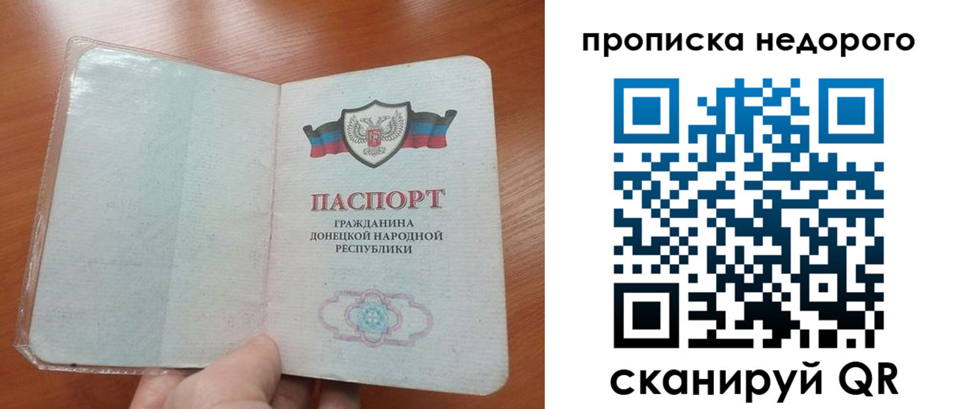прописка паспорт в Светлогорске